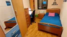 Room for rent, Salamanca, Castilla y León, Paseo de San Vicente, Spain