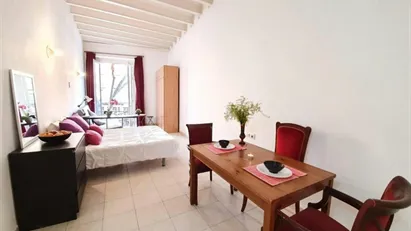 Apartment for rent in Barcelona Ciutat Vella, Barcelona