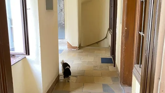 Rooms in Vienna Leopoldstadt - photo 1