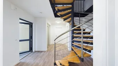 Room for rent in Berlin Treptow-Köpenick, Berlin