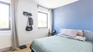 Room for rent, Bergen, Henegouwen, Rue des Droits de lHomme, Belgium