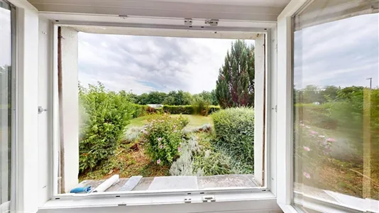 Apartments in Mulhouse - photo 8