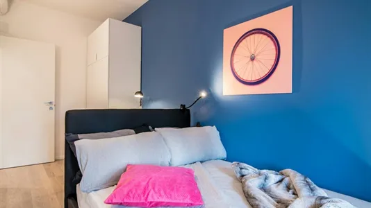 Rooms in Padua - photo 1