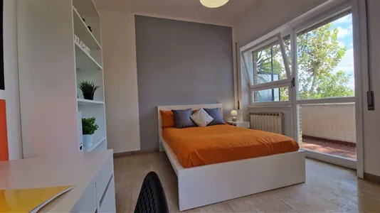 Rooms in Roma Municipio VIII – Appia Antica - photo 4