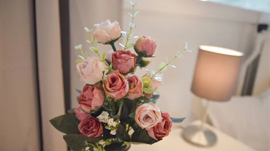 Rooms in Capelle aan den IJssel - photo 7