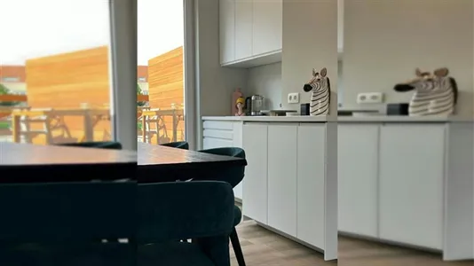 Apartments in Brussels Sint-Pieters-Woluwe - photo 9