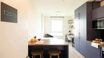 Apartment for rent in Bologna, Emilia-Romagna