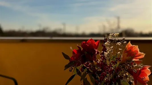 Apartments in Dusseldorf - photo 6