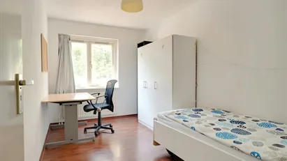 Room for rent in Rotterdam