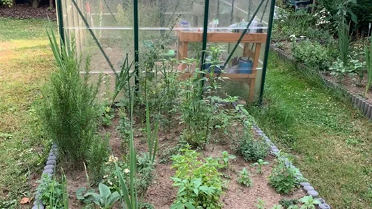 Houses in Rhein-Kreis Neuss - photo 9