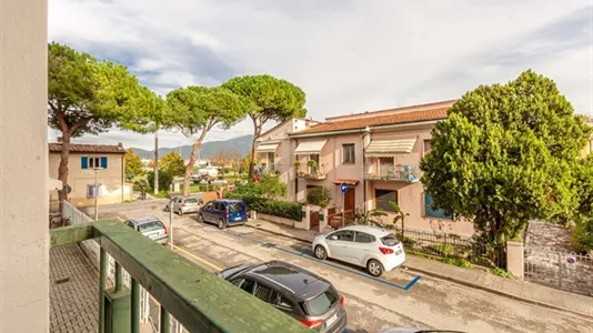 Rooms in Pisa - photo 9