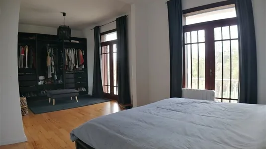 Houses in Rio Maior - photo 9