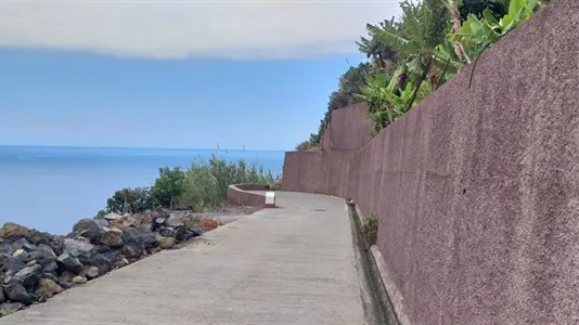 Houses in Calheta - photo 3