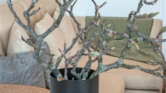 Apartments in Dusseldorf - photo 6