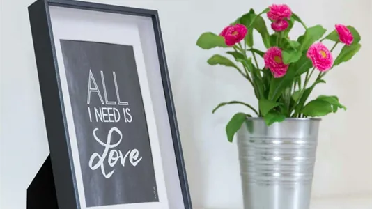 Rooms in Milano Zona 2 - Stazione Centrale, Gorla, Turro, Greco, Crescenzago - photo 4