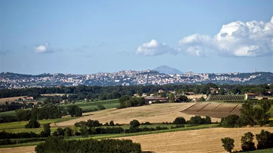 Apartments in Marsciano - photo 10