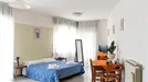 Apartment for rent, Arezzo, Toscana, Viale Michelangelo Buonarroti, Italy