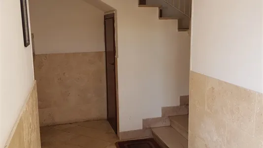 Rooms in Pisa - photo 6