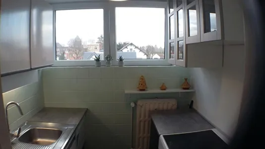 Apartments in Brussels Sint-Pieters-Woluwe - photo 7