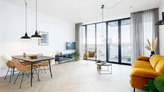 Apartments in Amsterdam Noord - photo 2