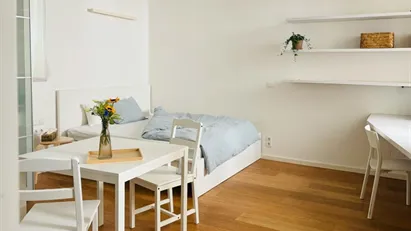 Apartment for rent in Vienna Josefstadt, Vienna