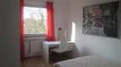 Room for rent, Main-Taunus-Kreis, Baden-Württemberg, Berliner Straße, Germany