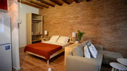 Apartment for rent in Barcelona Ciutat Vella, Barcelona