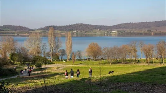 Apartments in Anguillara Sabazia - photo 6