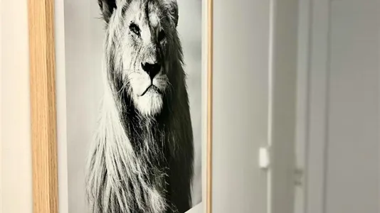 Rooms in Toulouse - photo 9