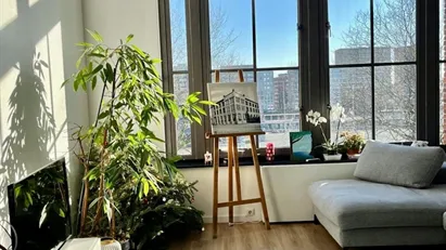 Room for rent in Rotterdam Centrum, Rotterdam