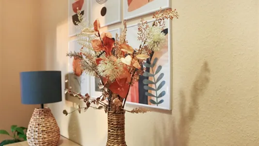 Apartments in Braunschweig - photo 10