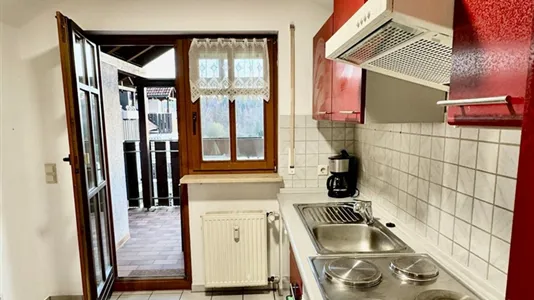 Apartments in Roth - photo 8