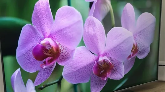 Apartments in Padua - photo 10