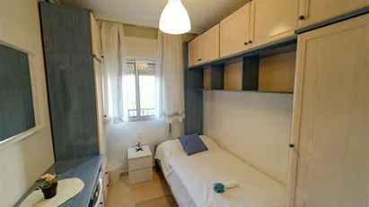 Room for rent in El Cerezo, Andalucía Room for rent in El Cerezo, Andalucía