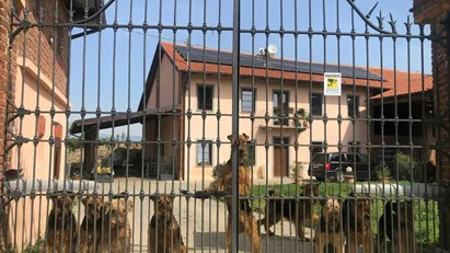 Room for rent in Airasca, Piemonte