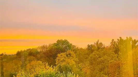 Apartments in Berlin Neukölln - photo 5