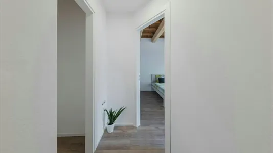 Rooms in Ferrara - photo 6