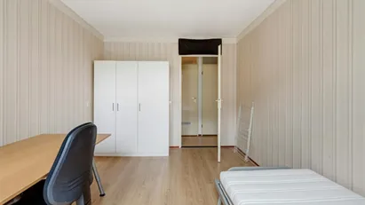 Room for rent in Rotterdam