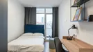 Room for rent, Berlin Charlottenburg-Wilmersdorf, Berlin, Leibnizstraße, Germany