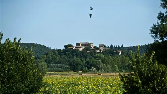 Apartments in Marsciano - photo 10