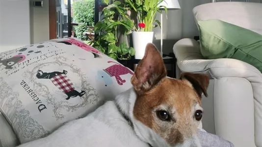 Rooms in Carugate - photo 1