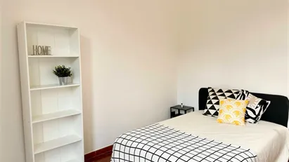 Room for rent in Florence, Toscana
