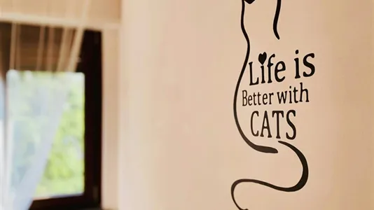 Rooms in Milano Zona 7 - Baggio, De Angeli, San Siro - photo 9