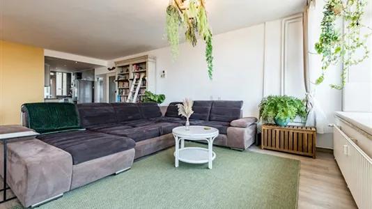 Apartments in Zandvoort - photo 4