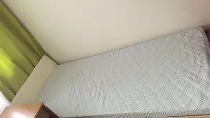 Room for rent in Besnica, Osrednjeslovenska