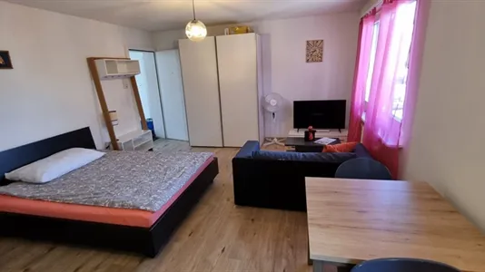 Apartments in Dietikon - photo 2