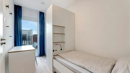 Rooms in Berlin Treptow-Köpenick - photo 2