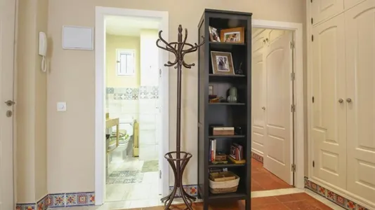 Apartments in Enramadilla - photo 6