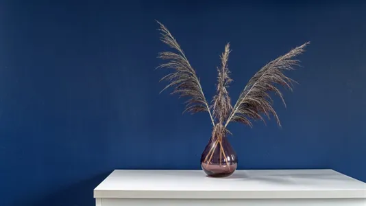 Apartments in Wrocław - photo 4