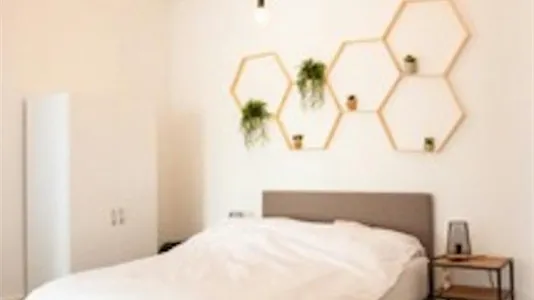 Apartments in Bonn - photo 3